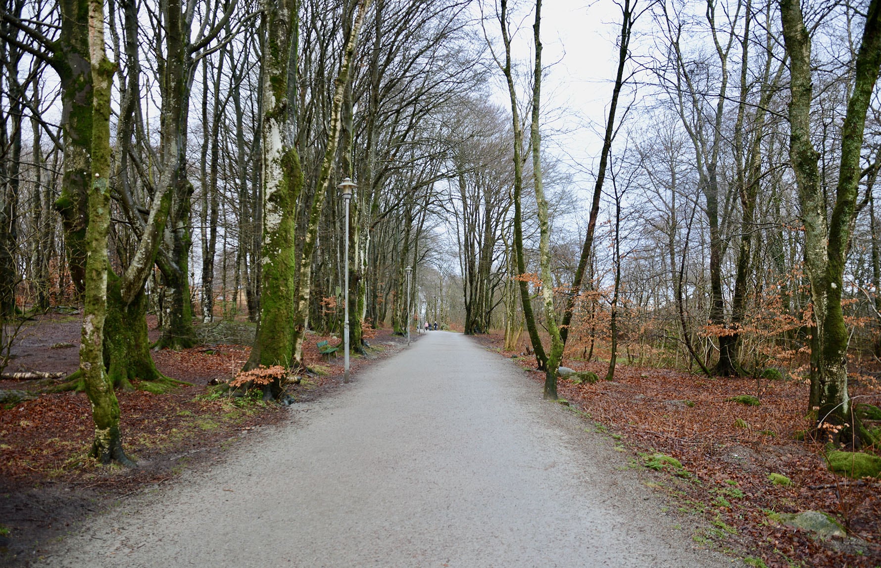 selvhjelpsveien