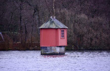 Silhuset
