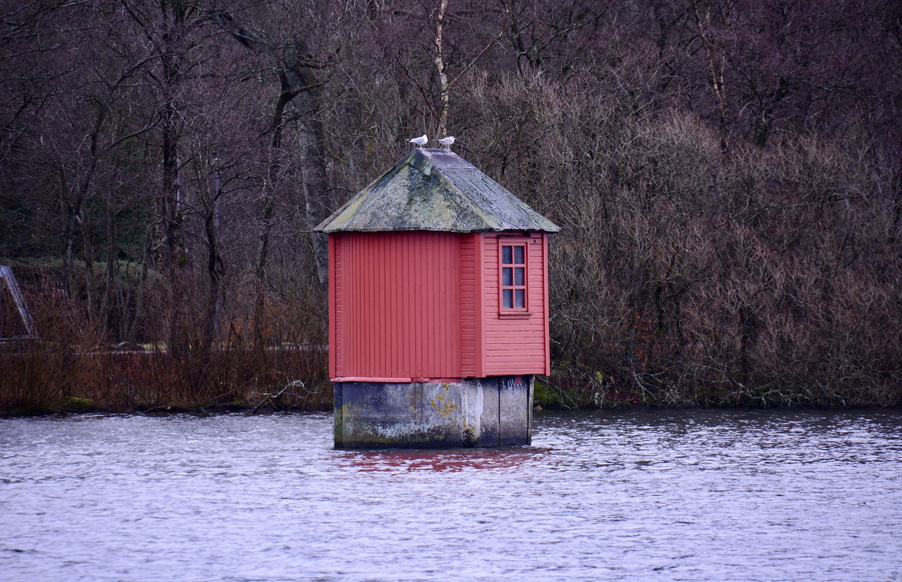 silhuset